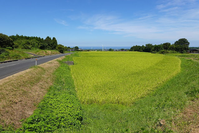 鳥取県西伯郡大山町坊領　農道