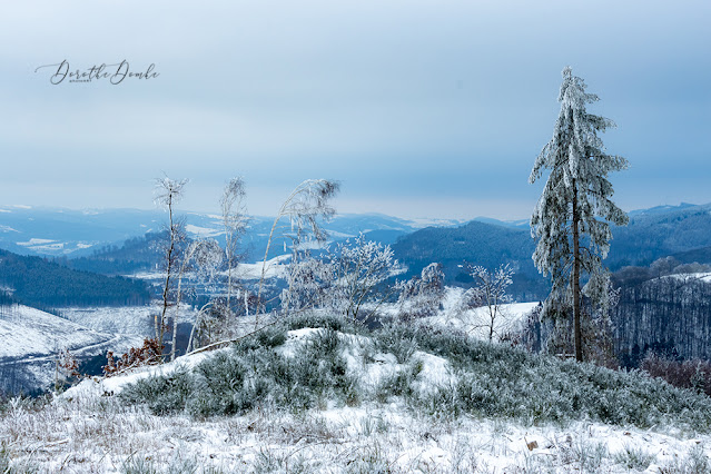 winter in the sauerland, Germany, Deutschland, photoart, Fotoart, Dorothe Domke