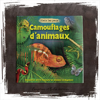 Camouflages d'animaux, imagier sur l'art de se camoufler dans la nature, livre pour enfant de Daniel Gilpin, Editions Millepages