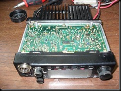 SAM_1173 (Small)