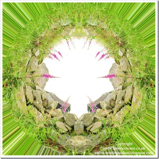 foxgloves circlewebcr