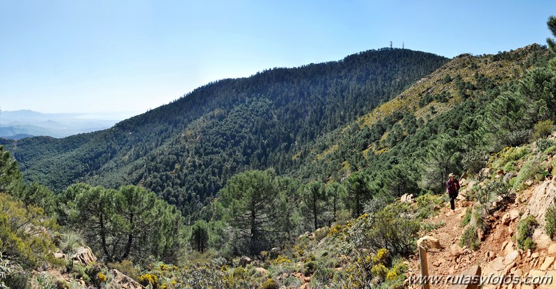 Los Reales de Sierra Bermeja