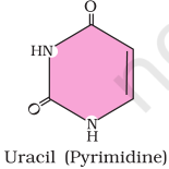 Uracil