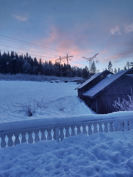 blåtimen