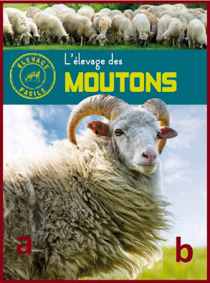 L'élevage des moutons : guide pratique et facile