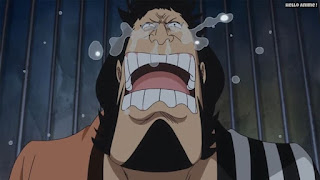 ワンピースアニメ ドレスローザ編 691話 錦えもん | ONE PIECE Episode 691