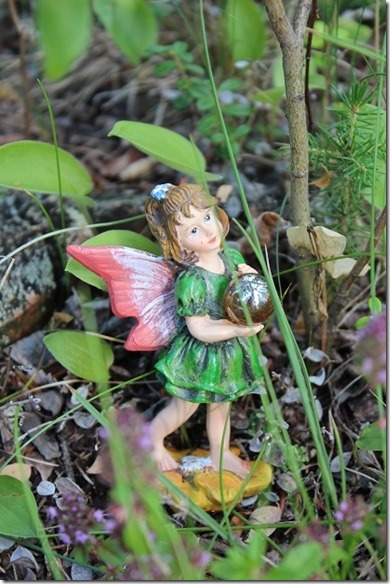 fairy4