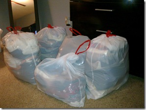 Beginning of Spring Cleaning 2011 027