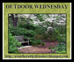 Outdoor-Wednesday-logo_thumb1_thumb1