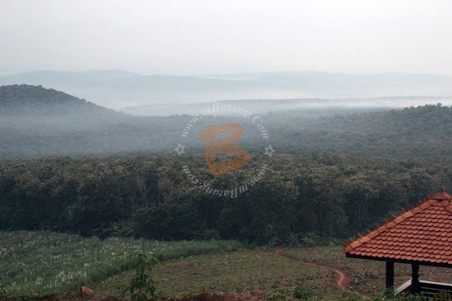 Bukit Srigunung Banyuputih Batang