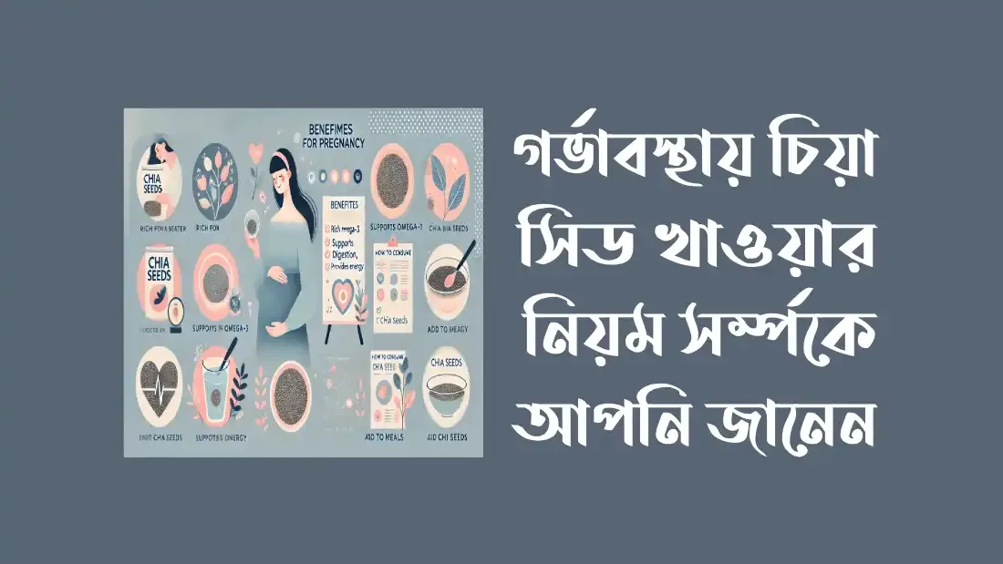 গর্ভাবস্থায়-চিয়া-সিড-খাওয়ার-নিয়ম