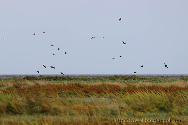 Wadden Sea UNESCO Netherlands