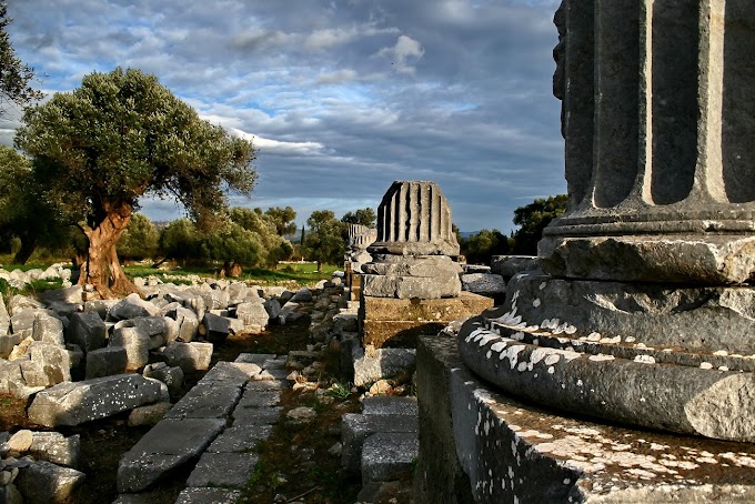  Για την Τέω των Ελλήνων στην Ιωνία