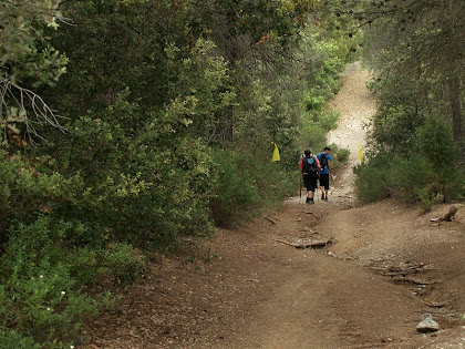 El camí és ple d'ondulacions