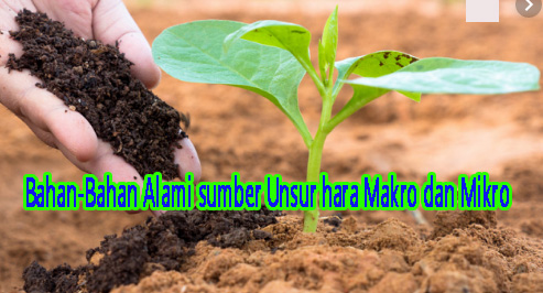 Bahan-Bahan Alami sumber Unsur hara Makro dan Mikro