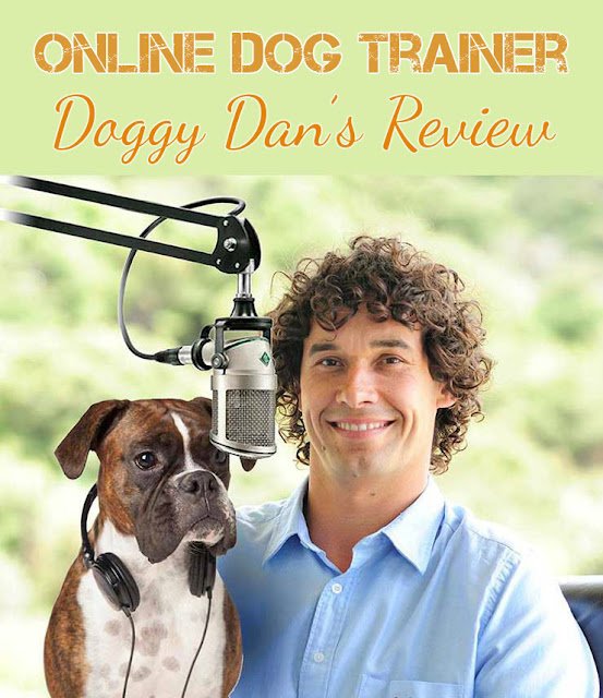 doggy dans online dog trainer review