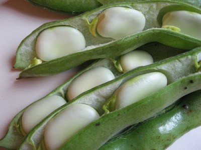A white plate of broad beans sut in half to expose the seeds