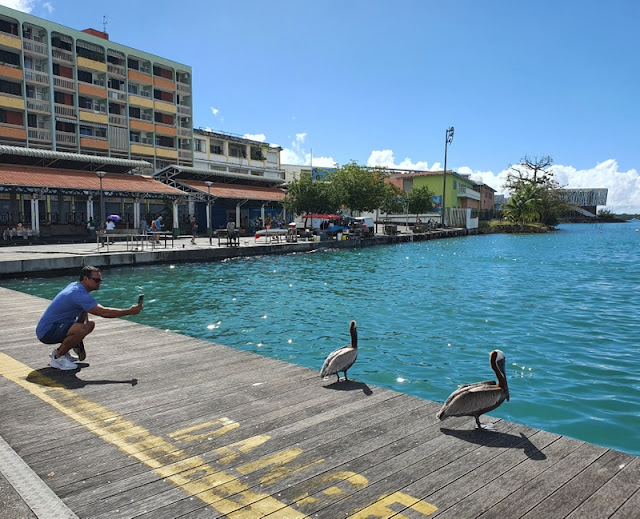 Pointe-à-Pitre_Guadalupe