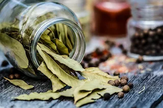 Laurier tisane avec un pouvoir considérable