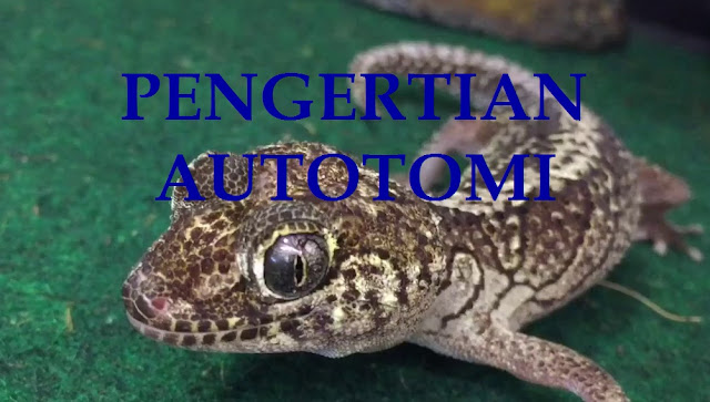 Pengertian Autotomi