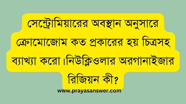 সেন্ট্রোমিয়ারের অবস্থান অনুসারে ক্রোমোজোম কত প্রকারের হয় চিত্রসহ ব্যাখ্যা করো। নিউক্লিওলার অরগানাইজার রিজিয়ন কী