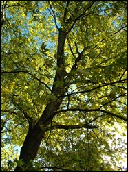 DSCF9327