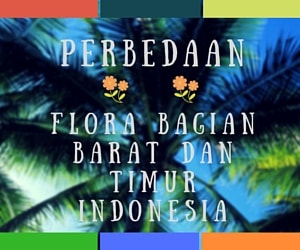 Perbedaan Flora di Indonesia Bagian Barat dengan Timur (Lengkap)
