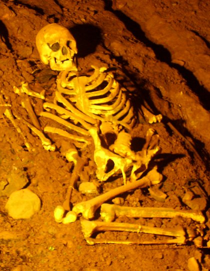 Cheddar Man in Gough's Cave