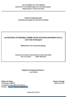 rapport de stage dut carrières sociales