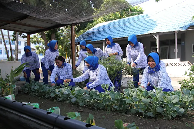 Silvi Suratun Laksanakan Panen Hasil Pemanfaatan Lahan Kosong