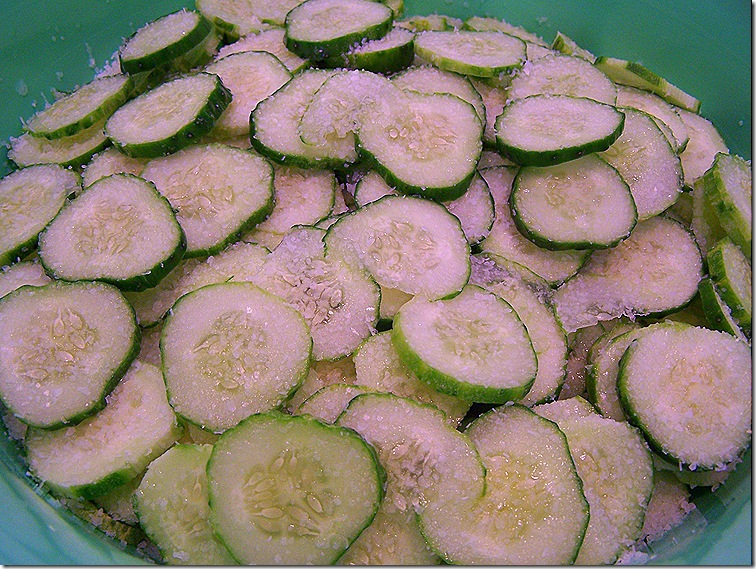 Pickles 022