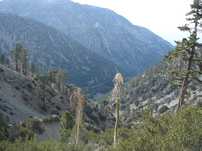 View across the bowl from the ski hut trail