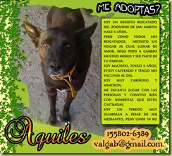 AQUILES2 copy