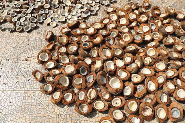 Mounds of split coconuts in Goa, India