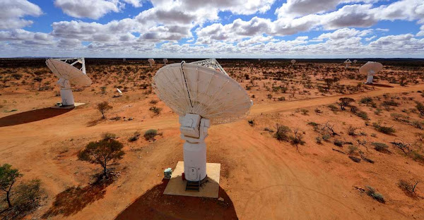 C’est grâce aux performances de l’Australian Square Kilometer Array Pathfinder (Askap) que les chercheurs ont relevé un mystérieux signal radio en provenance du centre de la Voie lactée. © Askap 