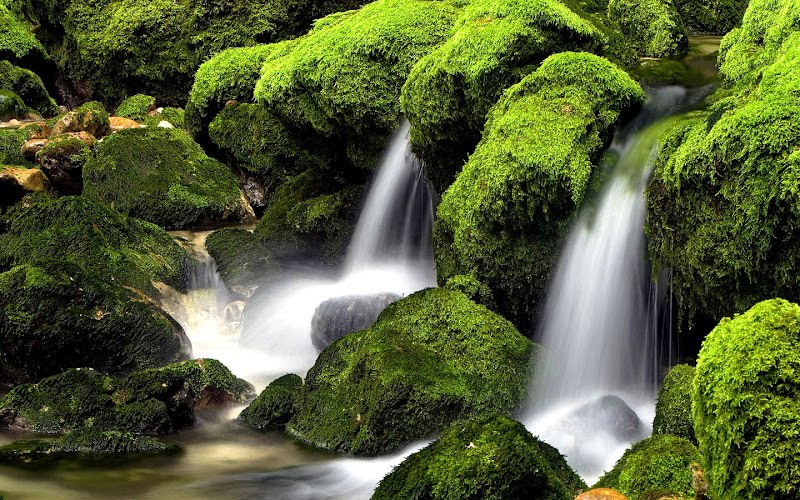 Elzaguan-viejo: Fotografías de las cascadas más hermosas 