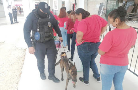 Sin novedades, revisiones en el filtro de acceso al penal de Cancún