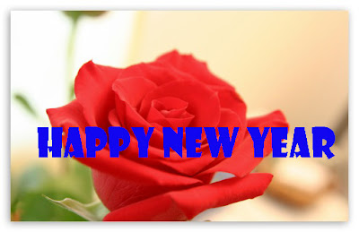 Beautiful Happy New Year Flower 2014