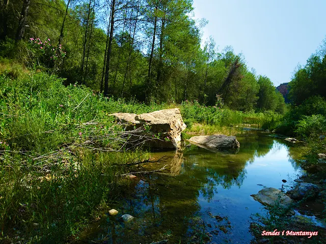 Ludiente, río Villahermosa, Rambla santa Ana, pozo negro