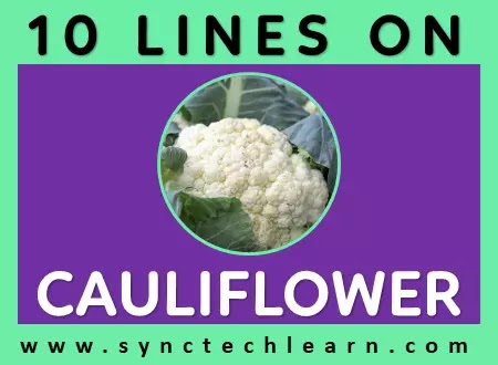 10 lines on cauliflower in english