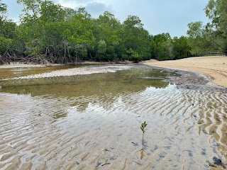 Mije creek, Luggers Bay, Kennedy Walking Track, South Mission Beach Qld