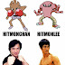 Pokemon Curiosidades 