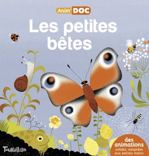 Les petites bêtes - Anim'DOC - Editions TOURBILLON