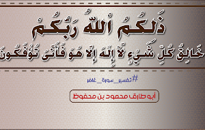 ذَلِكُمُ اْللهُ رَبُّكُمْ خَالِقُ كُلِّ شَيْءٍ || تفسير سورة غافر
