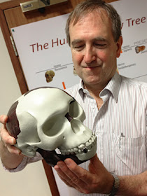 Photo. A nonsense: Chris Stringer holds a reconstruction of Piltdown Man's skull HOAX.