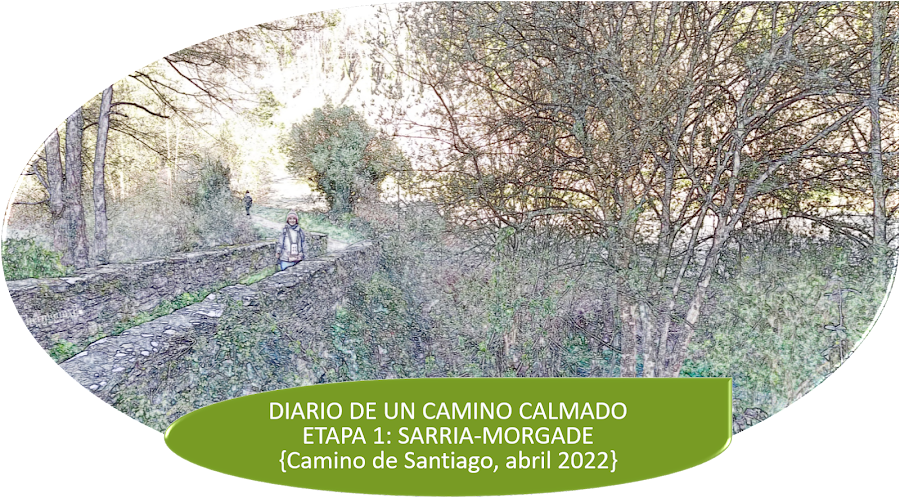 DIARIO DE UN CAMINO CALMADO ETAPA 1: SARRIA-MORGADE {Camino de Santiago, abril 2022}