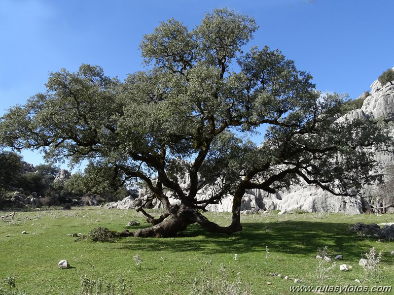 Benaocaz-El Hoyo-Jauletas-Puerto de Don Fernando