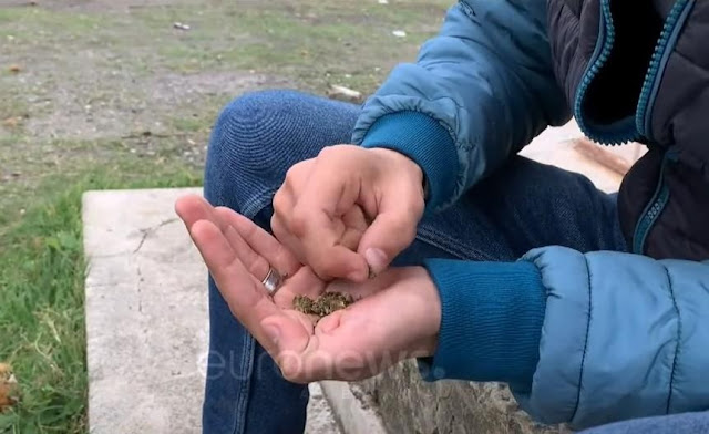 A young man with several grams of cannabis in his hand