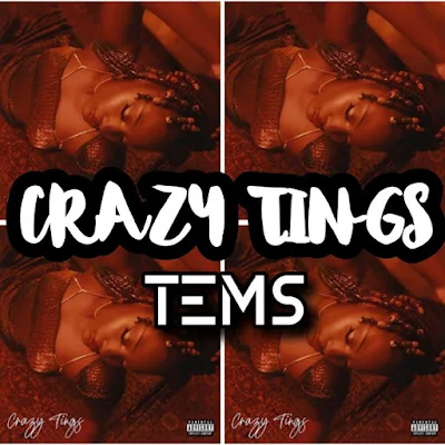 Tems' CRAZY TINGS Song - Chorus: Crazy tings are happening If you need somebody’s craze, you fit chop somebody’s craze..