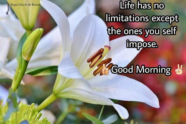 25 Beautiful & Positive Inspirational Good morning Quotes, Wishes and Messages